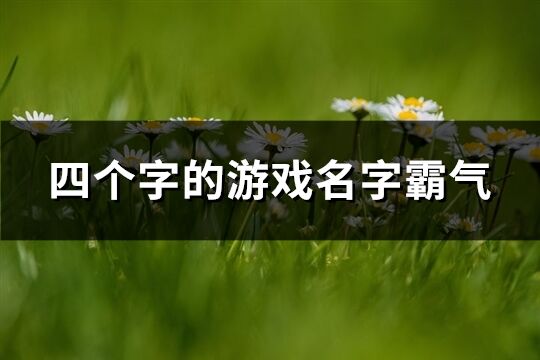 四個字的游戲名字霸氣(精選445個)