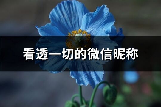 看透一切的微信昵稱(精選402個)