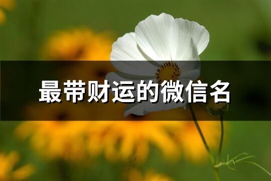 最帶財運的微信名(共791個)