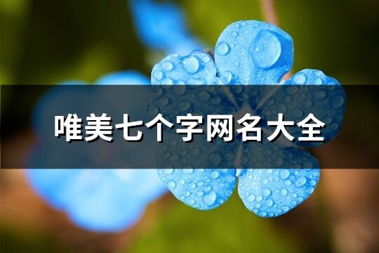 唯美七個字網名大全(優選353個)