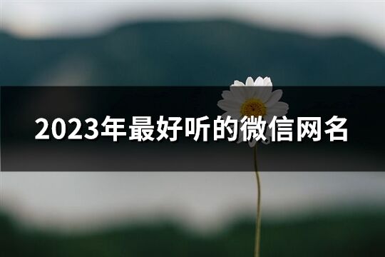 2023年最好聽的微信網名(優選1803個)