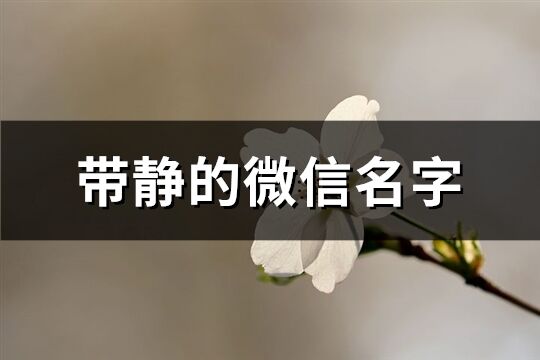 帶靜的微信名字(優(yōu)選170個)