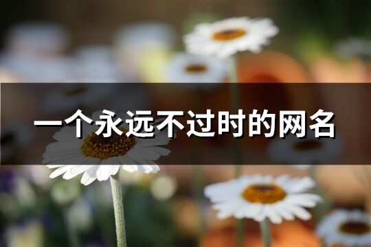一個(gè)永遠(yuǎn)不過(guò)時(shí)的網(wǎng)名(精選434個(gè))
