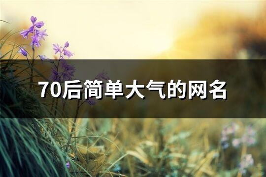 70后簡(jiǎn)單大氣的網(wǎng)名(302個(gè))