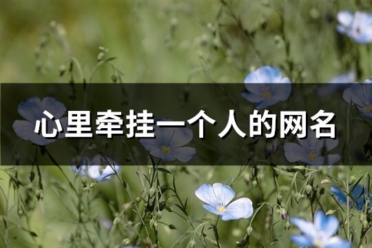 心里牽掛一個人的網名(102個)