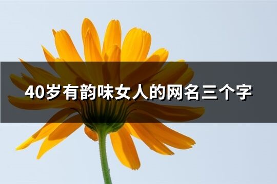 40歲有韻味女人的網(wǎng)名三個字(共254個)