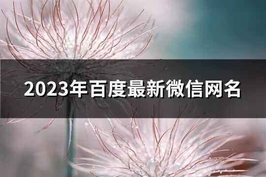 2023年百度最新微信網名(優(yōu)選1255個)