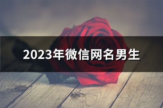 2023年微信網名男生(共801個)