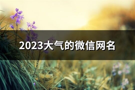 2023大氣的微信網(wǎng)名(共852個)