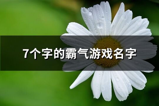7個(gè)字的霸氣游戲名字(418個(gè))