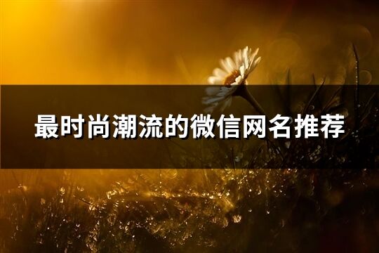 最時尚潮流的微信網名推薦(251個)