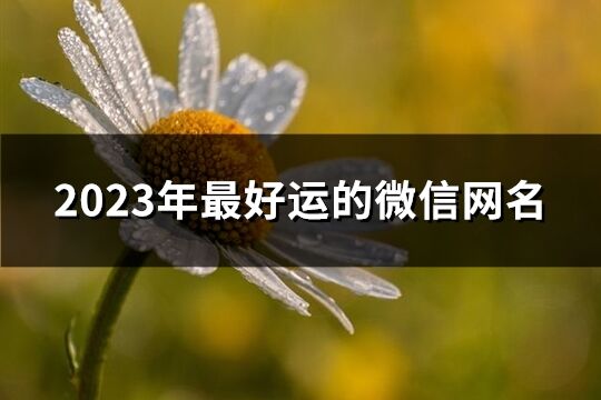 2023年最好運的微信網名(精選1120個)