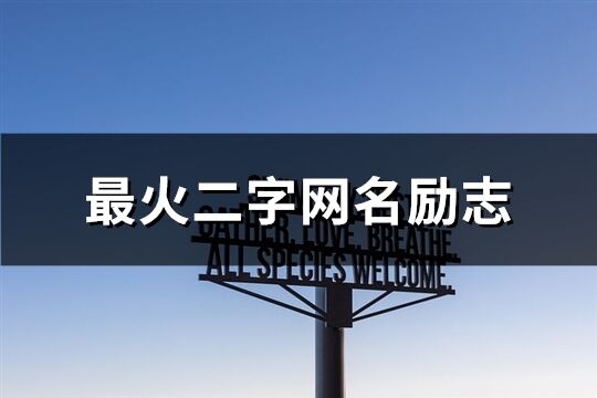 最火二字網名勵志(339個)