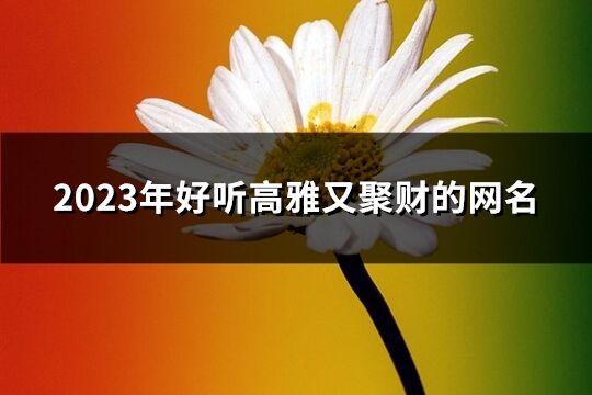 2023年好聽高雅又聚財(cái)?shù)木W(wǎng)名(精選425個(gè))