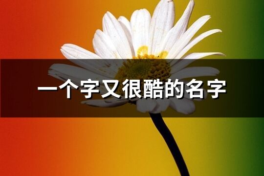 一個字又很酷的名字(精選84個)