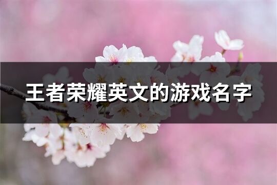 王者榮耀英文的游戲名字(優選74個)