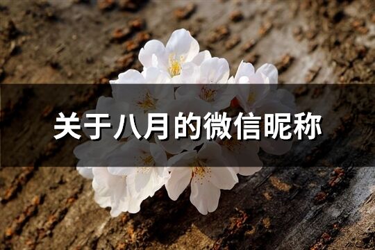 關于八月的微信昵稱(優(yōu)選370個)