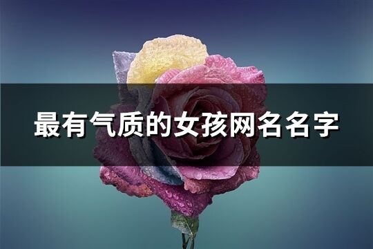 最有氣質(zhì)的女孩網(wǎng)名名字(優(yōu)選556個(gè))