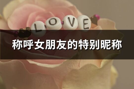 稱呼女朋友的特別昵稱(精選81個)