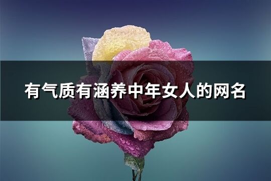 有氣質(zhì)有涵養(yǎng)中年女人的網(wǎng)名(精選1265個)