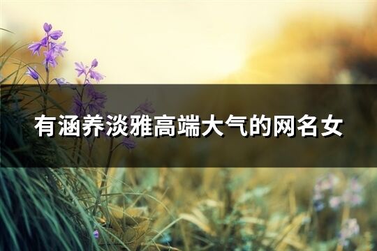 有涵養淡雅高端大氣的網名女(精選1101個)