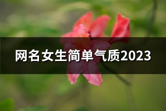 網名女生簡單氣質2023(844個)