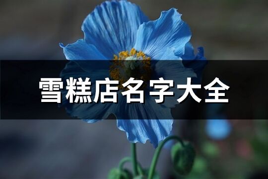 雪糕店名字大全(104個)