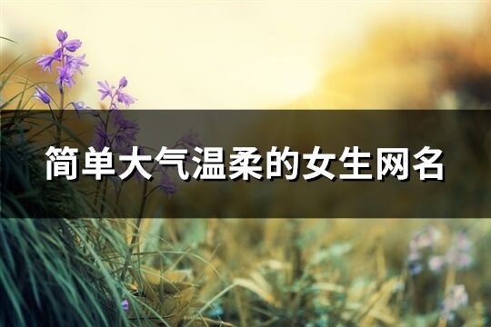 簡單大氣溫柔的女生網(wǎng)名(優(yōu)選644個)