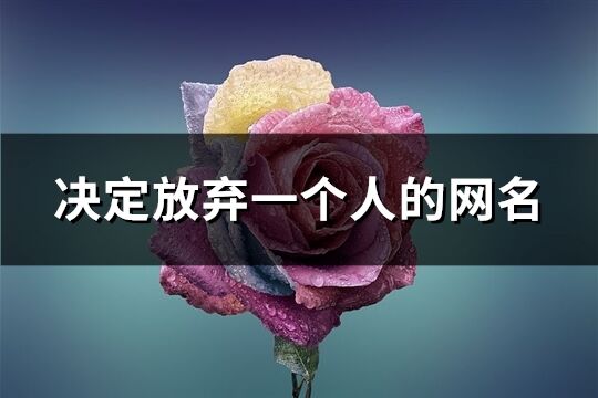 決定放棄一個人的網名(共235個)