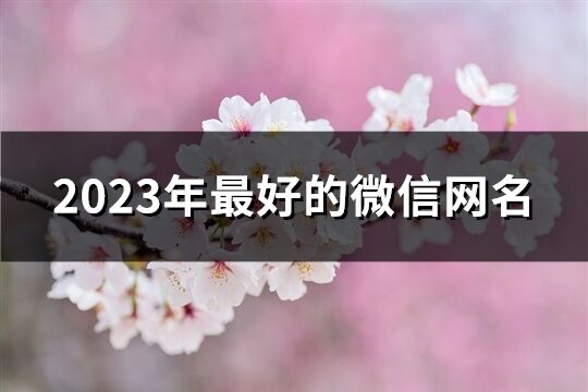 2023年最好的微信網名(1054個)