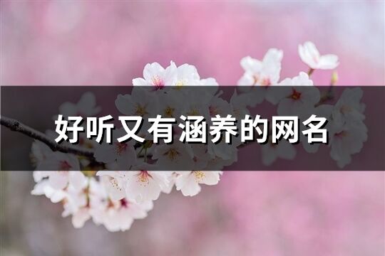 好聽又有涵養(yǎng)的網(wǎng)名(共1071個(gè))