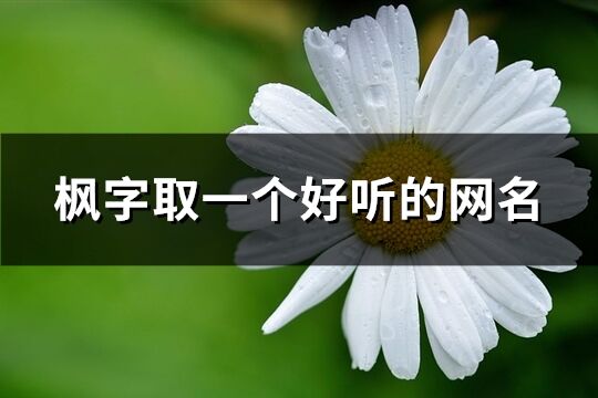楓字取一個好聽的網名(優選81個)