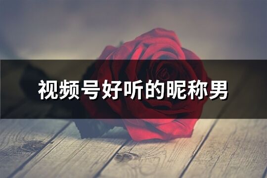 視頻號好聽的昵稱男(精選409個)