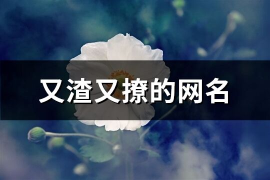 又渣又撩的網名(優選162個)