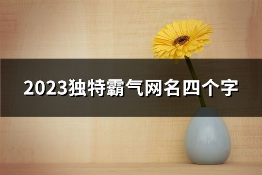 2023獨特霸氣網名四個字(384個)
