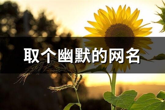 取個幽默的網名(共259個)