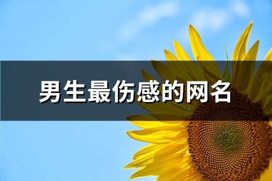 男生最傷感的網名(精選727個)