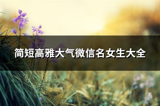 簡短高雅大氣微信名女生大全(共444個)