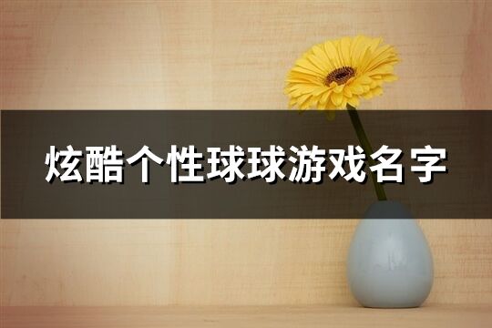 炫酷個性球球游戲名字(252個)