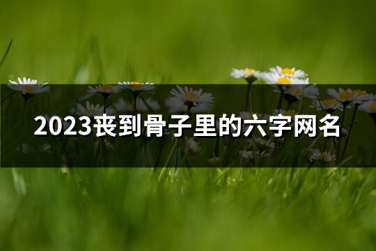 2023喪到骨子里的六字網名(優選169個)
