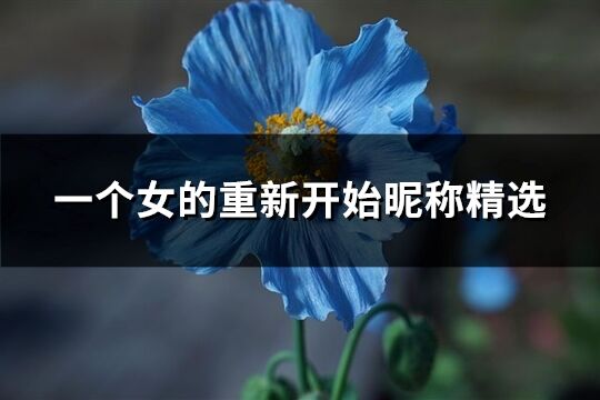 一個(gè)女的重新開(kāi)始昵稱精選(精選217個(gè))