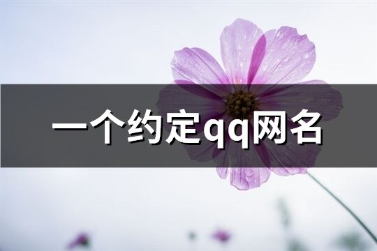 一個(gè)約定qq網(wǎng)名(精選331個(gè))