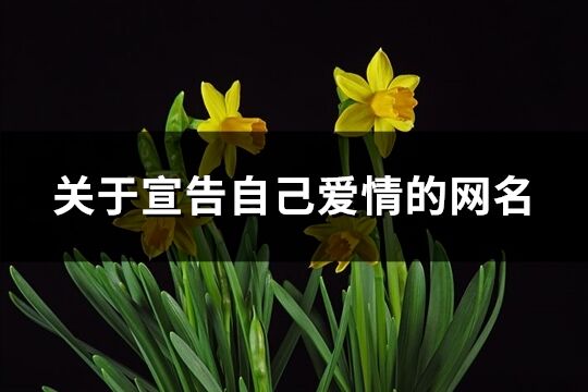 關于宣告自己愛情的網名(優選208個)