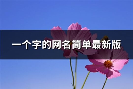 一個字的網名簡單最新版(共899個)