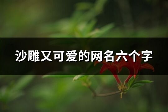 沙雕又可愛的網名六個字(精選330個)