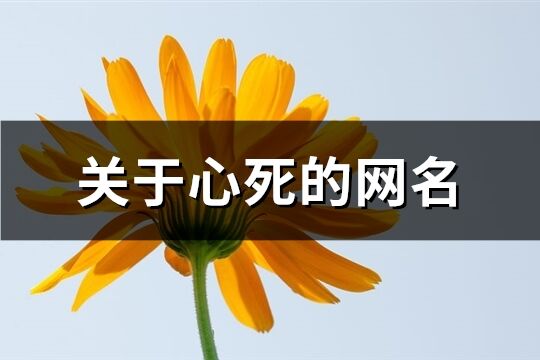 關于心死的網名(精選410個)