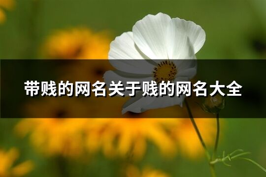 帶賤的網名關于賤的網名大全(精選80個)