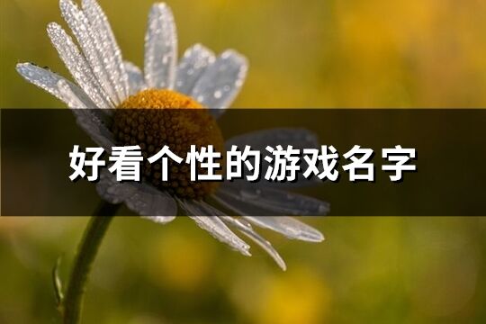 好看個性的游戲名字(優選575個)
