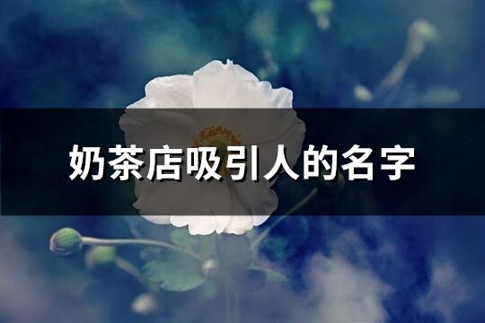 奶茶店吸引人的名字(共393個)