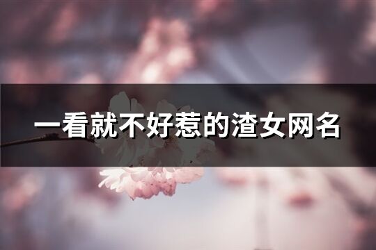一看就不好惹的渣女網(wǎng)名(共504個(gè))
